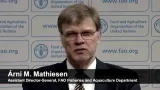 &Aacute;rni M. Mathiesen video message for UN Fish Stocks Agreement