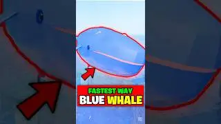 FASTEST WAY TO CATCH THE BLUE WHALE