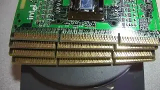 17 Amazing Ounces of Goldscrap by Austin Cyber Shop Cyberinfinity