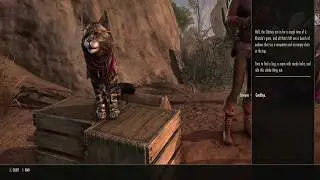 The Drunk Mage Kitty, Sereyne. Great Voice Acting in Elder Scrolls Online, SPOILER ALERT