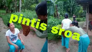 pintis sroa