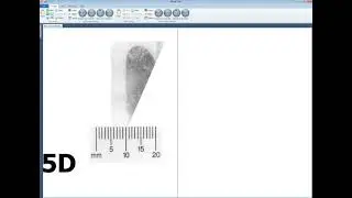 Next and Back method of loading images