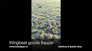 Wingbeat power flapper