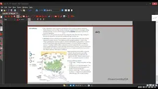 Lecture 03 (Part C) of First Aid in Ninety Days FIND by ClassroombyDA