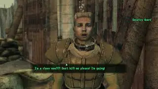Fallout 3: Capturing a Security Guard / causes hostility.