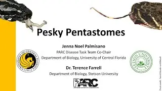 Pesky Pentastomes: Parasitic Crustaceans Coming to a State Near You