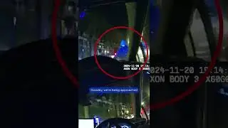 Met Police arrest AXE wieling burglars after London car chase