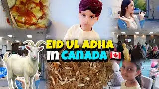 Eid-ul-Adha in Canada | Canada Muslim | Eid Celibration in Canada | Eid in Canada 2025 | Canada Eid