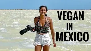 🌱 Vegan in Mexico | Valladolid to Rio Lagartos (Hitchhiking Adventure!) 🇲🇽🚗