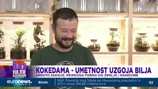 Terrador - terarijum mesto gde prlja&scaron; ruke ali čisti&scaron; misli