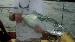 Tsunami Bonefish (Unknown Bones)