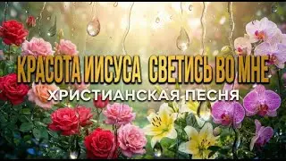 Красота Иисуса, светись во мне - Slovo Davida