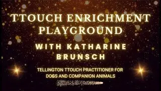 The TTouch Enrichment Playground for Life Skills