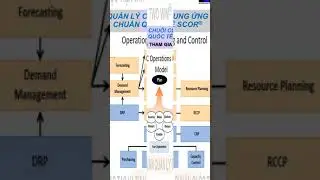 L&agrave;m Thế  N&agrave;o Để Hiểu v&agrave; Vận Dụng Đ&uacute;ng Model Quản L&yacute; Chuỗi Cung Ứng Chuẩn SCOR | Win Two Win #Shorts