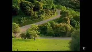 Kfee car ad without the screamer but i edited it so it looked like it was real with the scream