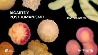 Taller Bioarte y posthumanismo - 21 de octubre 2022