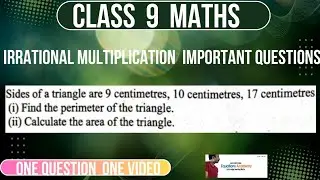 Class 9 Maths | Triangle Perimeter & Area Using Heron&rsquo;s Formula | Important Question
