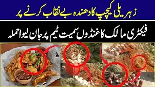 Toxic Ketchup Factory Exposed | Fake Products Seized in Major Raid!