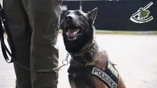 A Look into Training a K9 Police Dog & his Handler