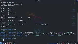 Python from Basic, Print, user input, modules, comments, wait functions, timers , Developer Suryansh