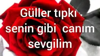 canım sevgilim ferdam 😍