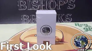 * Card Rarity = Real World Population* Birds - 1st Edition Starter Box Opening