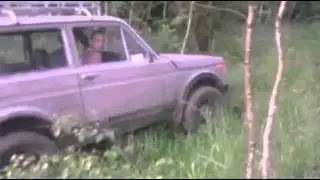 Две нивы в лес поехали
