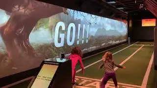 race animals at Perot Museum