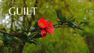 Release Unjustified Guilt | Quantum Subliminal Healing