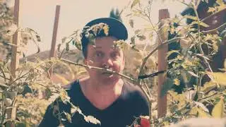 The Death Set - Fall Down (official video)