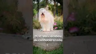 Fotografando PETs no Parque Barigui #pov #fotografia #curitiba