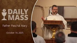 Catholic Daily Mass - Daily TV Mass - October 14, 2025