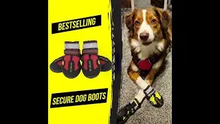 😃💖The Best Dog Winter Shoes In 2021❄️  | Reflective, Waterproof, Warm & Cozy