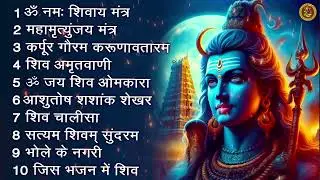 सोमवार भक्ति भजन - आशुतोष शशाँक शेखर, कर्पूर गौरम करुणावतारं, ॐ नमः शिवाय,  शिव अमृतवाणी व शिव आरती