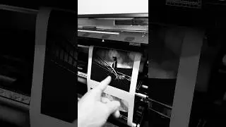 Моя первая фотография #фотография