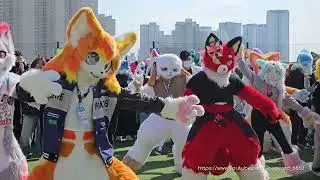 [FurryJoA 2025] Random Play Dance