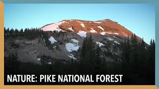 Nature: Pike National Forest | VOA Connect