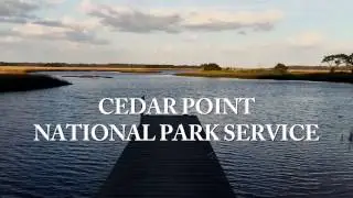 Exploring Northeast Florida's Cedar Point Preserve