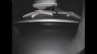 4 Octopi # 1