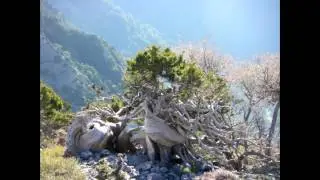 Κρητικες Μαδαρες-Ο Γιωργης με τον Αρχοντα