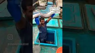 #karanja #jetty #wholesalefishmarket #uran #raigad #navimumbai