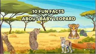 10 FUN FACTS ABOUT BABY LEOPARD