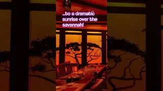 Lighting effects at Pride Lands restaurant!