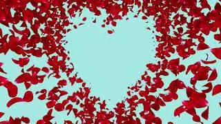 Rose petals falling in heart shapes full HD | Free motion graphic background | Valentine celebration