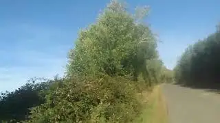 Chignal & Mashbury. Community Orchard