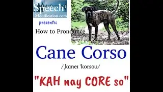 How to Pronounce CANE CORSO (Italian Mastiff Pronunciation Guide)