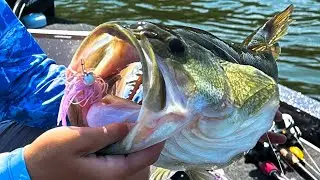 Summer fishing with the V&M Baits (The Blade in Morning Dawn) 