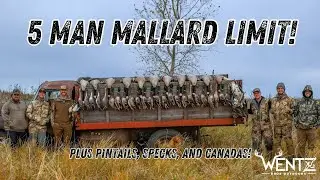 AWESOME 5 MAN MALLARD FIELD HUNT! Plus pintails, specks, and Canada geese!