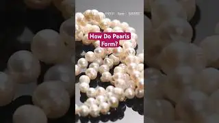 Pearl Formation Process &mdash; Explained Fast! #pearls #formation #science