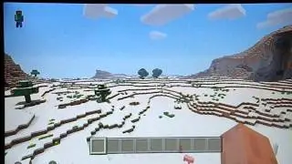 Minecraft SNOW WORLD seed
